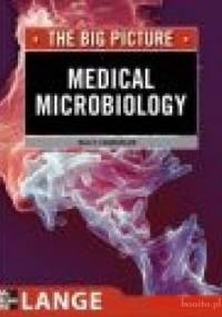 Medical Microbiology &&& Immunology - N. Chamberlain