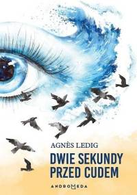 Dwie sekundy przed cudem - Agnès Ledig
