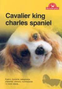 Cavalier king charles spaniel - Zespół Over Dieren