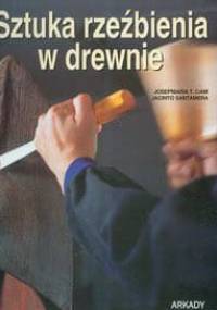 Sztuka rzeźbienia w drewnie - Cami