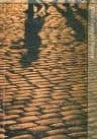 Ulica Czarnych Ptaków - Iain Menzies Banks