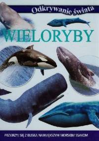 Wieloryby. Odkrywanie świata - Michał Wierzbicki