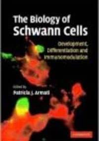 Biology of Schwann Cells