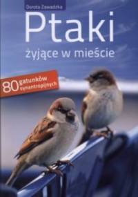 Ptaki żyjące w mieście - Dorota Zawadzka