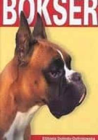 Bokser - Elżbieta Dolindo-Dolindowska