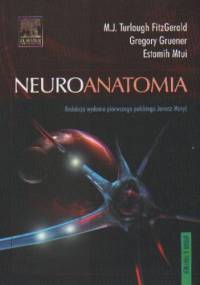 Neuroanatomia
