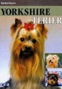 Yorkshire Terier - Rachel Keyes