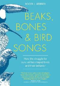 Beaks, Bones, and Bird Songs: How the Struggle for Survival Has Shaped Birds and Their Behavior - Roger Lederer