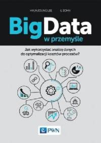 Big Data w przemyśle - Lee Hyunjoung Sohn Il