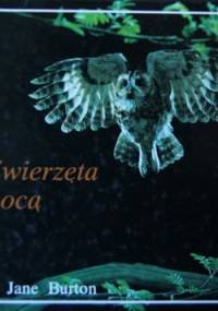 Zwierzęta Nocą - Jane Burton