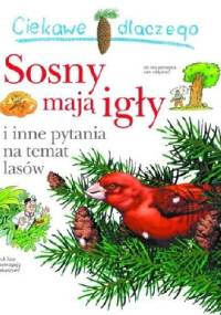 Ciekawe dlaczego sosny mają igły - Jackie Gaff