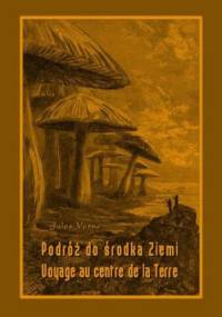 Podróż do środka Ziemi. Voyage au centre de la Terre