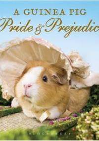 A Guinea Pig Pride & Prejudice