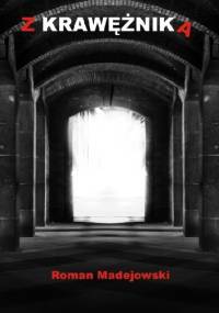 Z krawężnika - Roman Madejowski