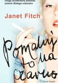Pomaluj to na czarno - Janet Fitch