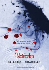 Ucieczka - Elizabeth Chandler