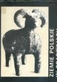 Ziemie polskie w pradziejach - Witold Hensel