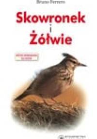 Skowronek i żółwie - Bruno Ferrero