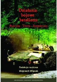 Działania bojowe batalionu. Praktyka, teoria, perspektywy - Wojciech Więcek