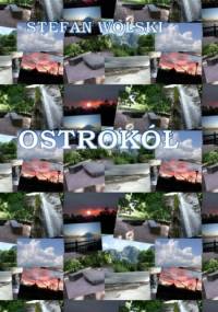 Ostrokół - Stefan Wolski