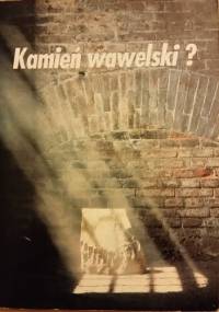 Kamień wawelski? - Wacław Wantuch