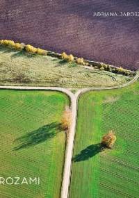 Rozdrożami - Adriana Jarosz