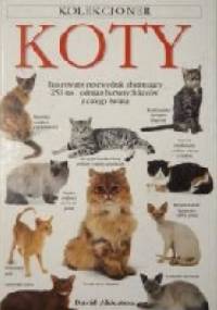 Koty - David Alderton