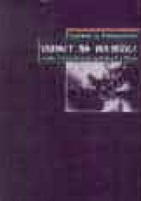 Obrazy na wolności - studia z historii sztuk medialnych w Polsce - Ryszard W. Kluszczyński