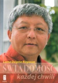 Świadomość każdej chwili - Rinpocze Dzigme