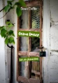 Seans Duszy - Dawid Dańko