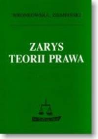 Zarys teorii prawa - Zygmunt Ziembiński, Sławomira Wronkowska
