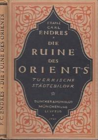 Die Ruine des Orients. Türkische Städtebilder - Franz Carl Endres