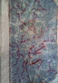 Ilustracja w książkach dla dzieci i młodzieży - Stefan Szuman