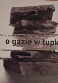 Państwowa służba geologiczna o gazie w łupkach