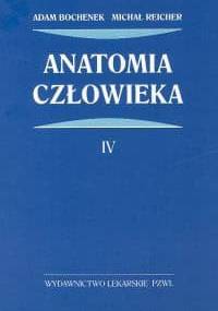Anatomia człowieka Tom 4 - Adam Bochenek, Michał Reicher