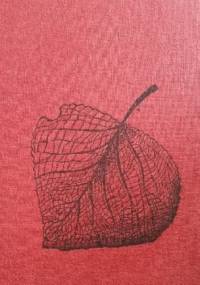 Nastolatki nie lubią wierszy