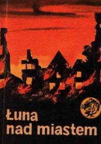 Łuna nad miastem - Anna Wawrzycka