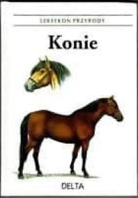 Konie - Helena Kholova