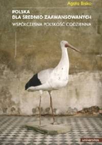 Polska dla średnio zaawansowanych. Współczesna polskość codzienna - Agata Bisko