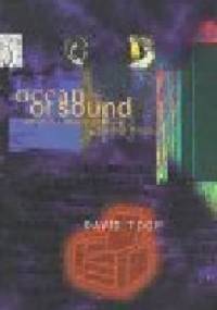 Ocean of Sound: Aether Talk, Ambient Sound and Imaginary Worlds - David Toop