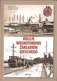 Koleje wąskotorowe zakładów Gieschego