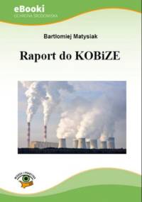 Raport do KOBiZE - Matysiak Bartłomiej
