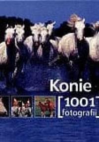 Konie. 1001 fotografii - praca zbiorowa