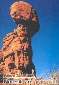 Notesik amerykański - Adam Ziemianin