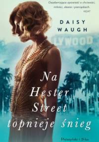 Na Hester Street topnieje śnieg - Daisy Waugh