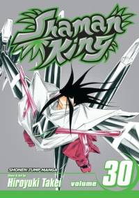 Shaman King Vol. 30 - Takei Hiroyuki