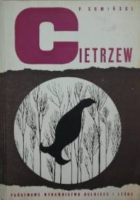 Cietrzew - Piotr Sumiński