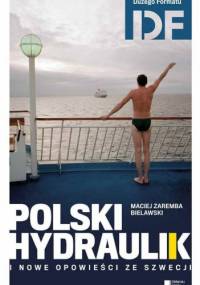 Polski hydraulik i nowe opowieści ze Szwecji - Maciej Zaremba Bielawski