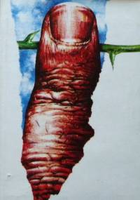 Odziany światłem. Wiersze rozproszone i pośmiertne z lat 1906-1926 - Rainer Maria Rilke