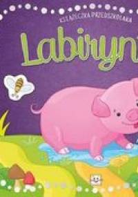 Labirynty. Książeczka przedszkolaka - Anna Podgórska